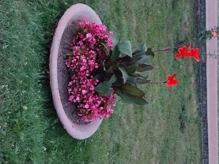  - Slanic moldova