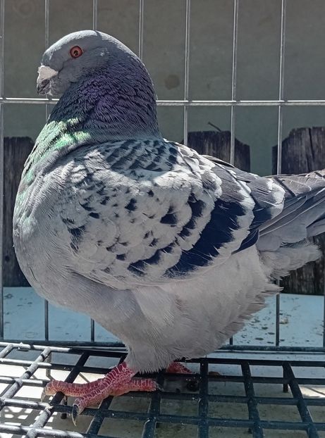 20230701_115409~2 - 23 tineret