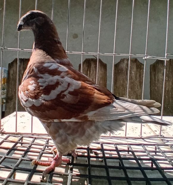 20230704_101529~2 - 23 tineret