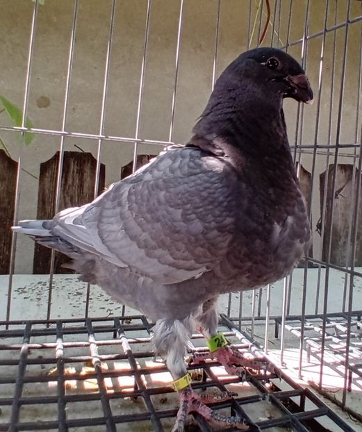 20230804_105253~2 - 23 tineret