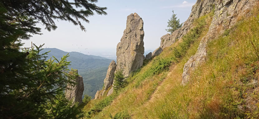  - Prin Munții Gutâi