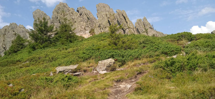  - Prin Munții Gutâi