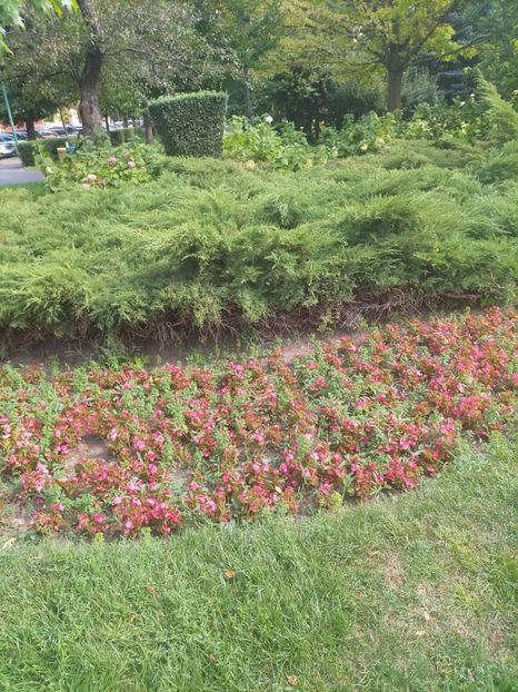 Imagine WhatsApp 2023-08-18 la 10.36.18 - 2023 MUS 17-19 aug