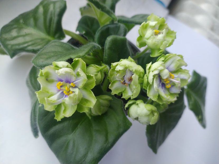 31 august 2023 - LE Marfa