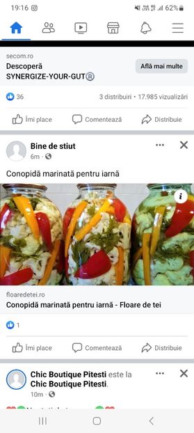 Screenshot_20230831_191644_Facebook - Conopida marinata la borcan pentru iarna