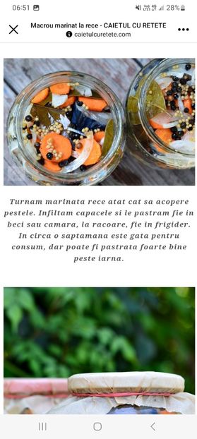 Screenshot_20230901_065121_Facebook - Macrou marinat la rece la borcan pentru iarna