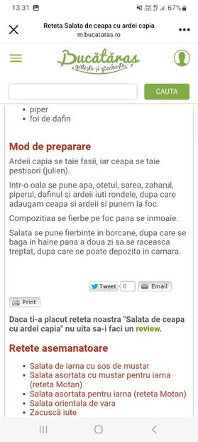 Screenshot_20230901_133143_Facebook - Salata de ceapa cu ardei capia la borcan pentru iarna