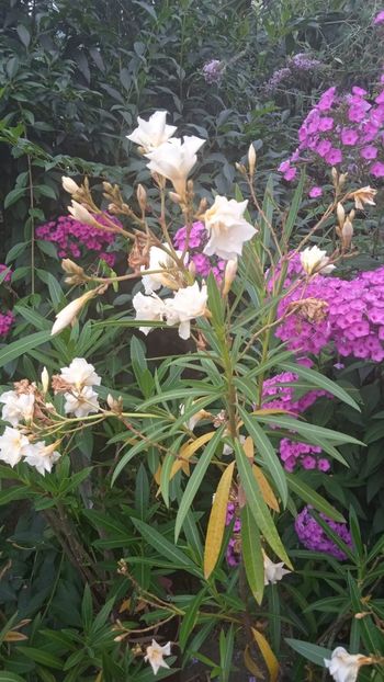 IMG-20230719-WA0014 - August 2023