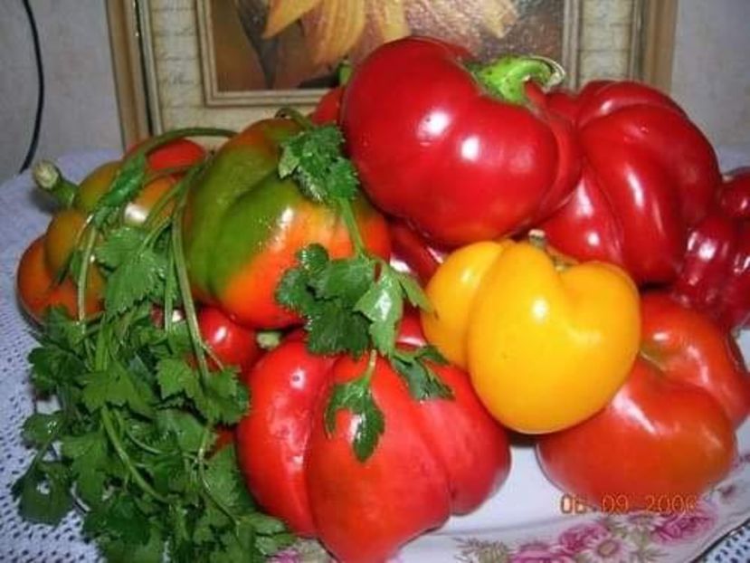  - Gogosari marinati cu miere de albine la borcan pentru iarna