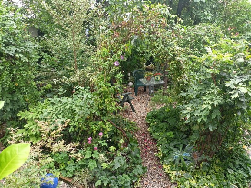  - Grădina 2023 continuare 5