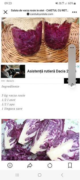 Screenshot_20230904_092306_Facebook - Salata de varza rosie in otet la borcan pentru iarna