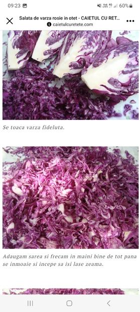 Screenshot_20230904_092312_Facebook - Salata de varza rosie in otet la borcan pentru iarna