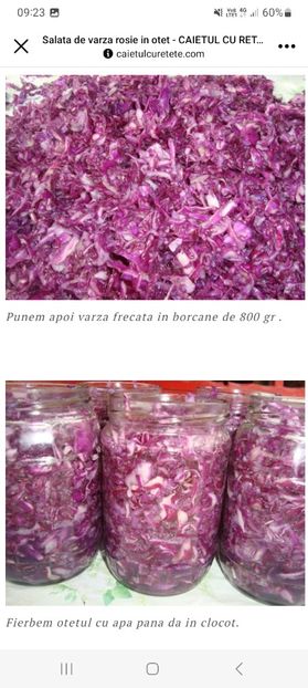 Screenshot_20230904_092317_Facebook - Salata de varza rosie in otet la borcan pentru iarna
