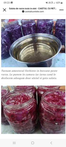 Screenshot_20230904_092321_Facebook - Salata de varza rosie in otet la borcan pentru iarna