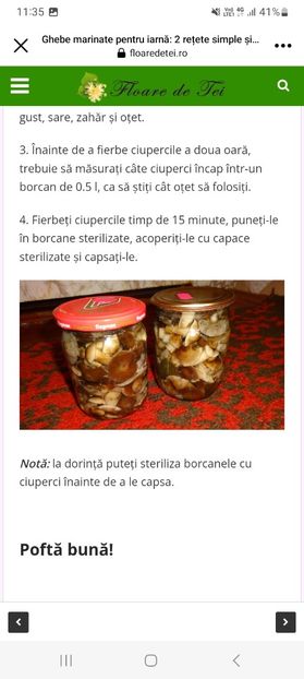 Screenshot_20230904_113553_Facebook - Ghebe marinate la borcan pentru iarna - 2 retete simple