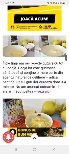 Screenshot_20230904_174732_Samsung Internet - Dulceata de gutui rase