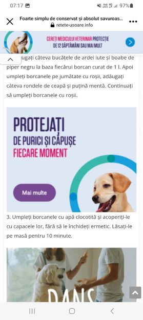 Screenshot_20230905_071743_Facebook - Rosii marinate cu menta si ceapa
