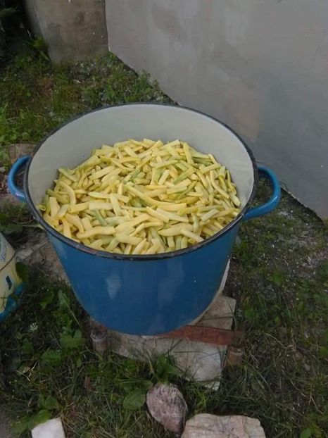  - Fasole pastai cu rosii la borcan pentru iarna