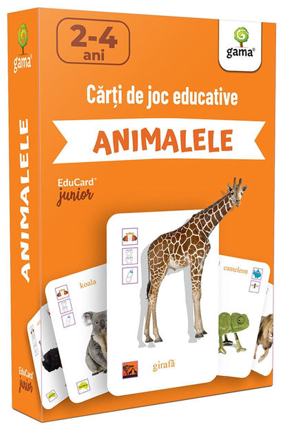 Animalele 2-4 ani - EduCard Junior 0-5 ani