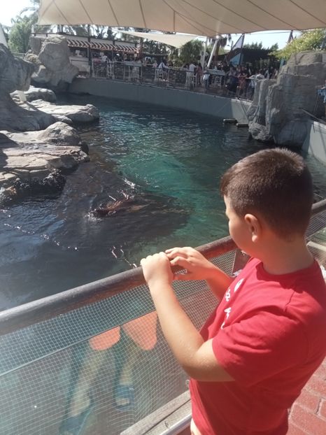 IMG20230831111201 - Darius vacanta