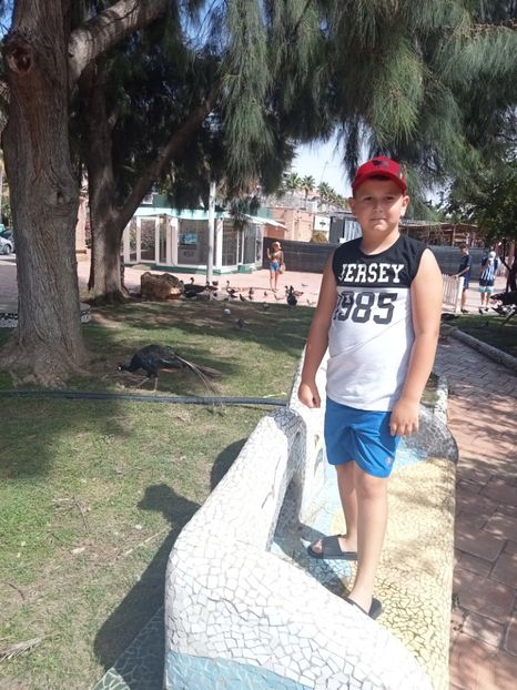 IMG20230827121236 - Marinador