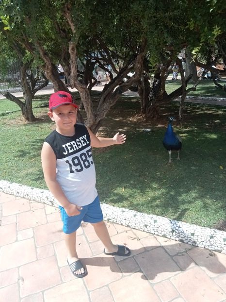 IMG20230827121102 - Marinador