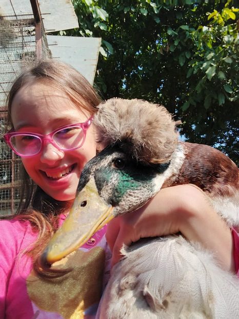 IMG-20230906-WA0003 - Rate cu mot