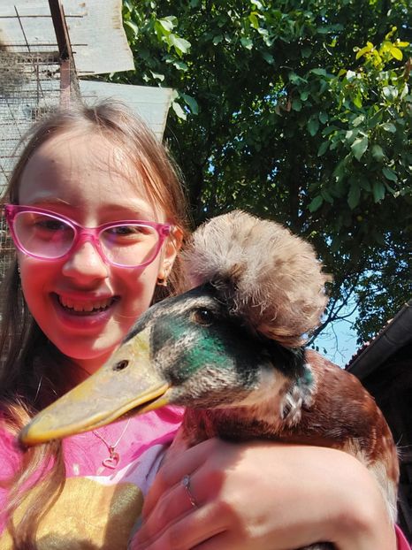 IMG-20230906-WA0006 - Rate cu mot