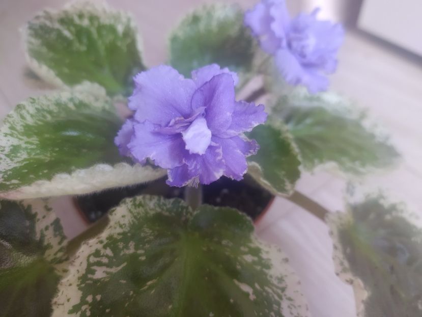 9 septembrie 2023 - EK Zhilishche Boga