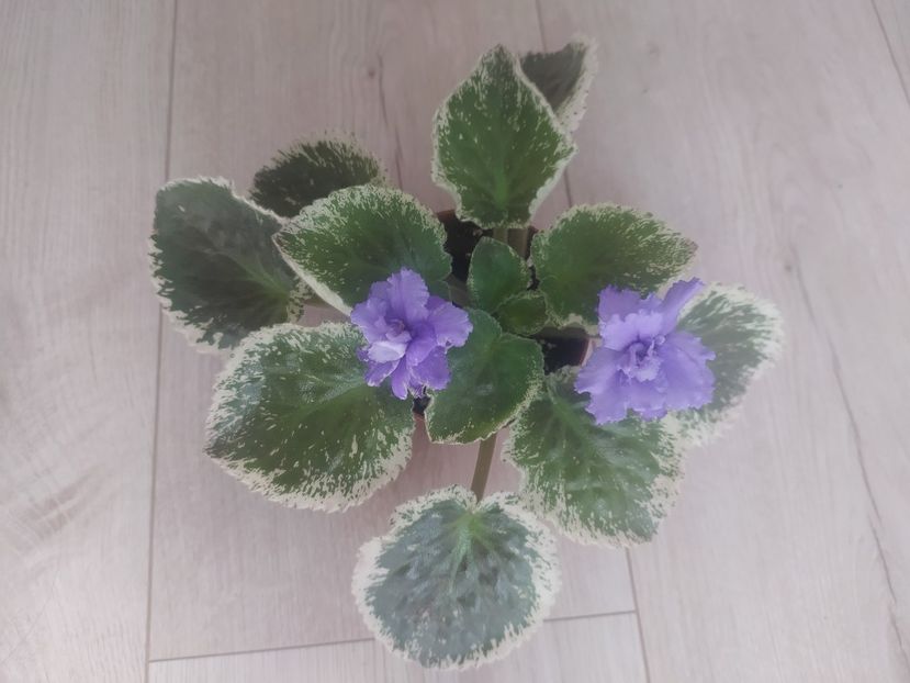 9 septembrie 2023 - EK Zhilishche Boga