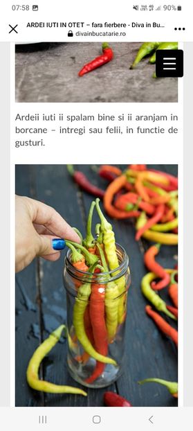 Screenshot_20230910_075857_Facebook - Ardei iuti in otet fara fierbere la borcan pentru iarna