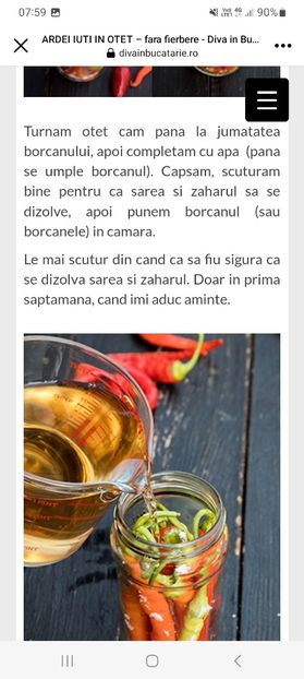 Screenshot_20230910_075910_Facebook - Ardei iuti in otet fara fierbere la borcan pentru iarna
