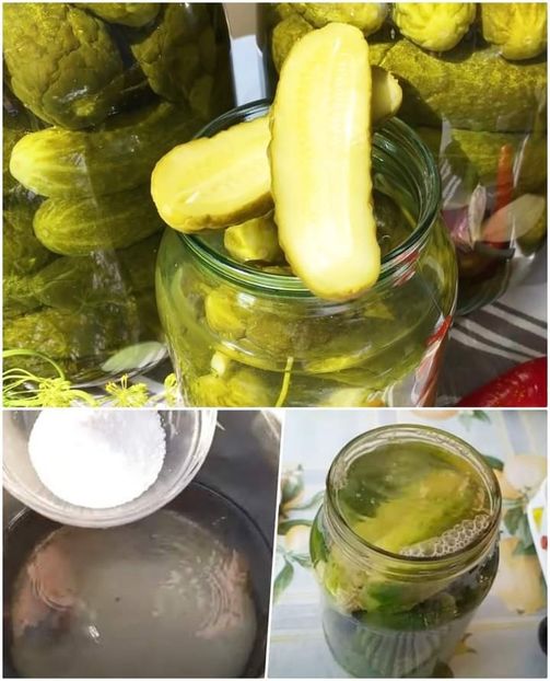  - Castraveti in saramura la borcan pentru iarna