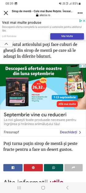 Screenshot_20230910_083952_Facebook - Sirop de menta