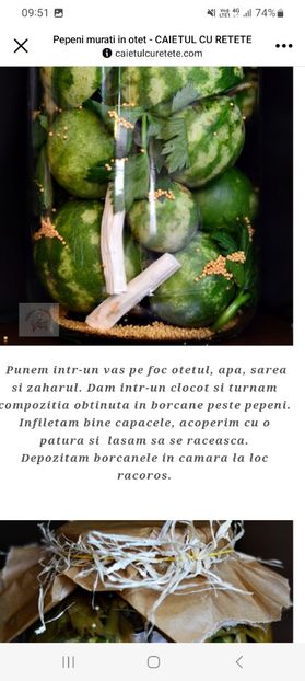 Screenshot_20230910_095113_Facebook - Pepene murati in otet