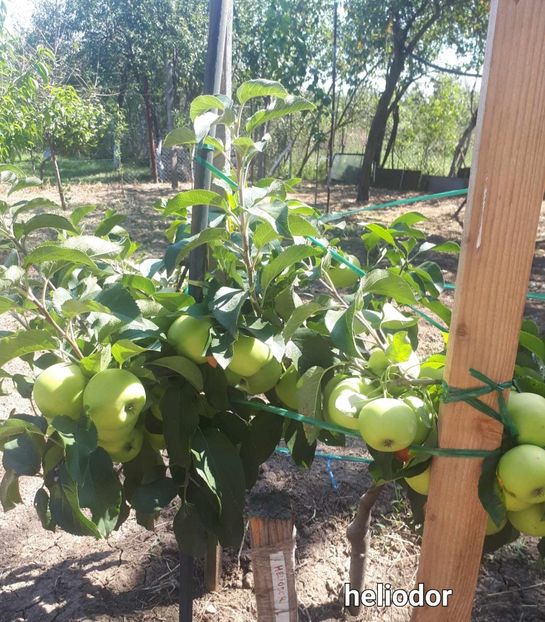 10.09.2023 - Mar Heliodor