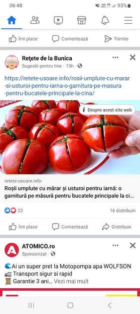 Screenshot_20230911_064844_Facebook - Rosii umplute cu marar si usturoi la borcan pentru iarna