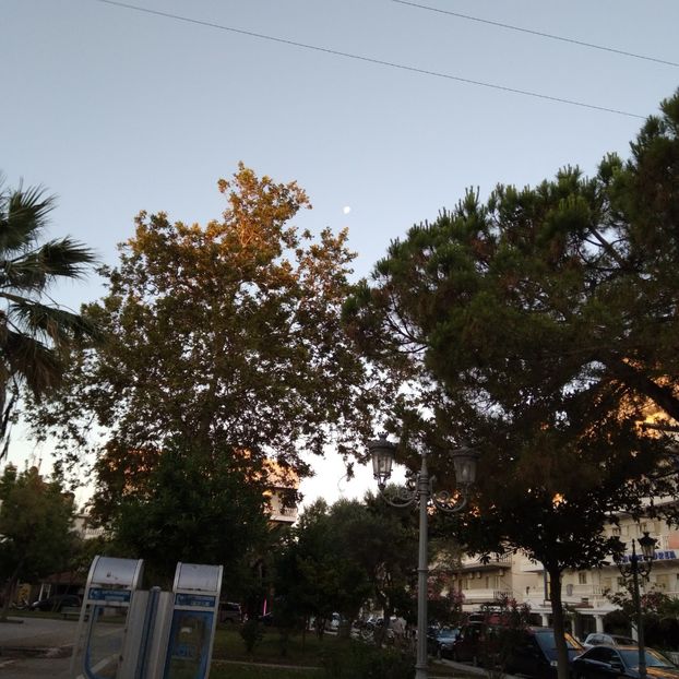  - 2023 - Vara
