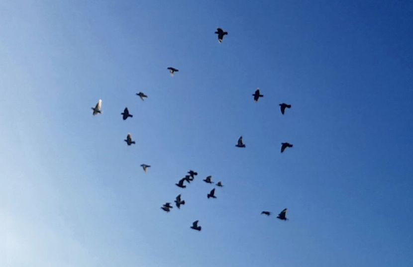  - 000Album de album2023