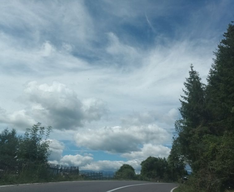  - Natura văzuta prin ochii mei