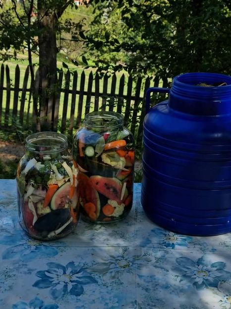  - Muraturi asortate in saramura pentru iarna