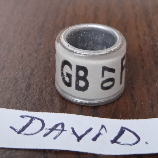 2007-GB - Marea Britanie