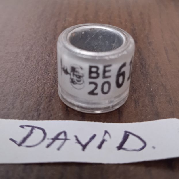 2020-Belgia - Belgia