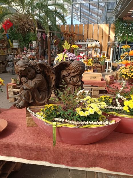 Img.2023.09.12 - Magazinul 2