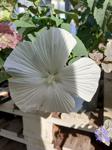 Img.2023.09.12 - Magazinul 2