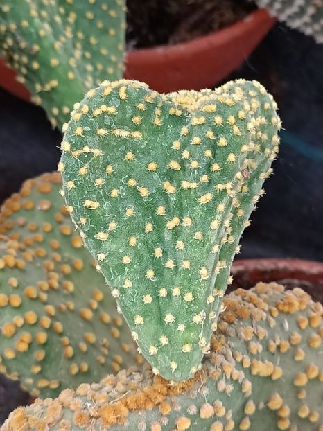 Img.2023.09.12 - Magazinul 3