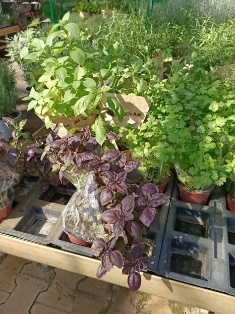 Img.2023.09.12 - Magazinul 3