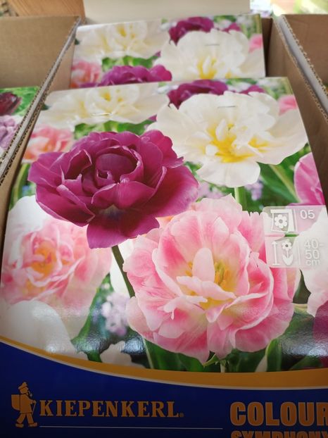 2023.09.12 - Magazinul 3