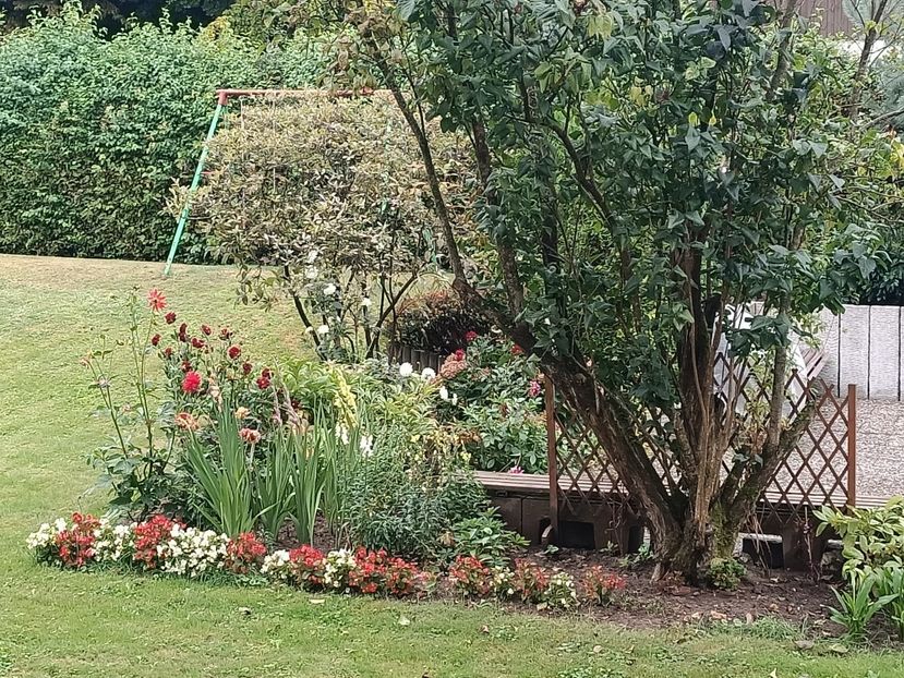 Img.2023.09.13 - Grădina mea