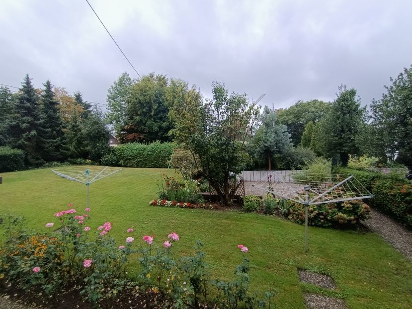 Img.2023.09.13 - Grădina mea